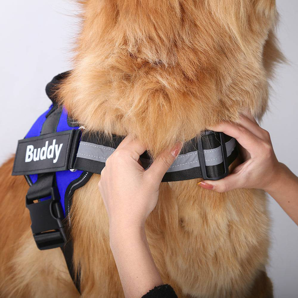 Pup Harness™ [Free Today]